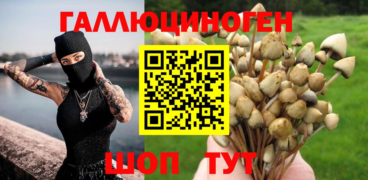 Галлюциногенные грибы ЛСД  Вход с VPN  Конаково  Галлюциногенные грибы Psilocybe 